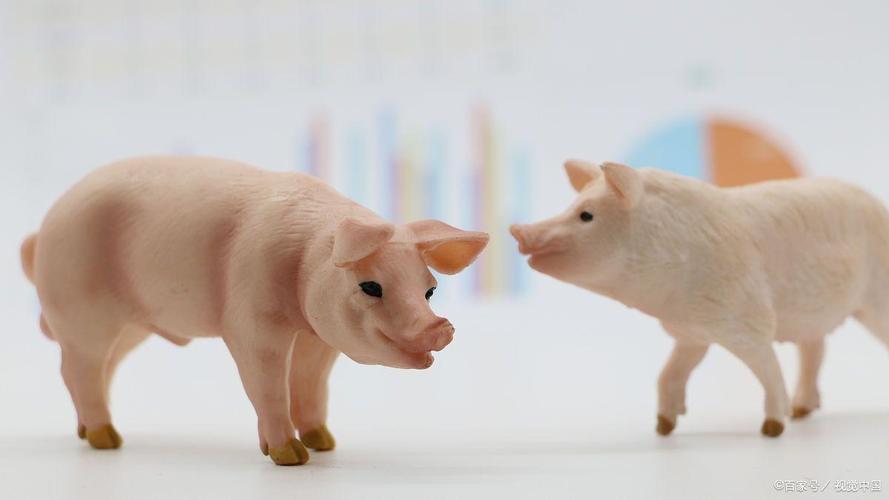 2026年生肖猪旺运开启!心宽体胖有这9个信号,中一个就偷着乐吧