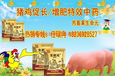 什么产品猪可以增肥猪增肥产品有什么