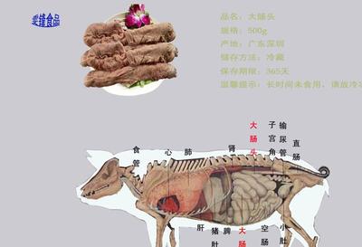 冷冻猪肉产品 肥肠 冷冻 猪大肠头